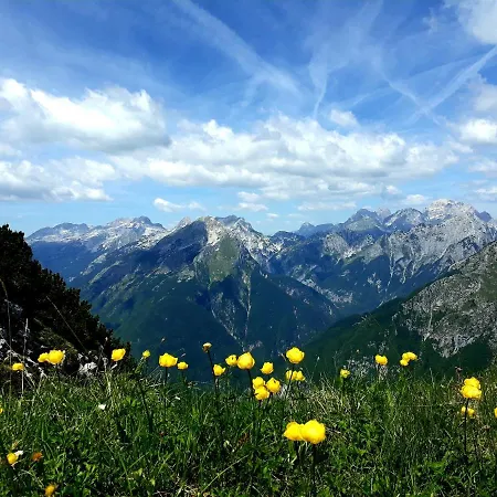 アパート Socaland Apartmaji *