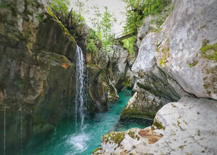 Socaland Apartmaji アパート *