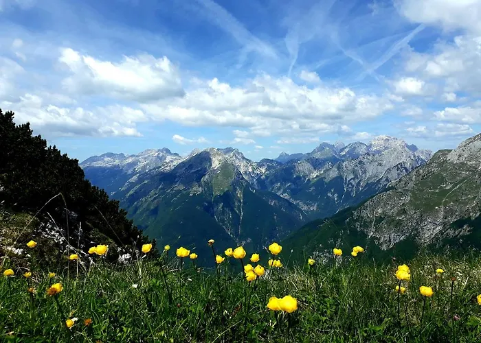 アパート Socaland Apartmaji *